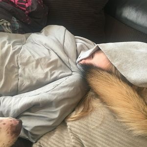 Meet your Posher, Marissa